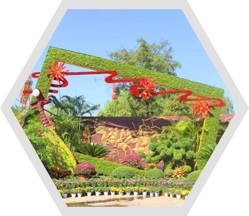  五色草立體花壇